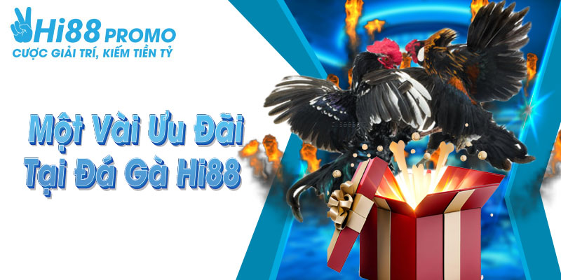 Tổng hợp những ưu đãi khi tham gia sảnh cược