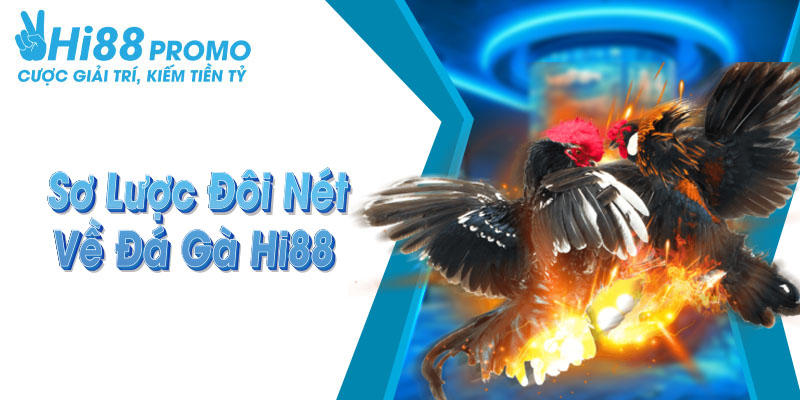 Một vài nét cơ bản về sảnh cược đá gà Hi88